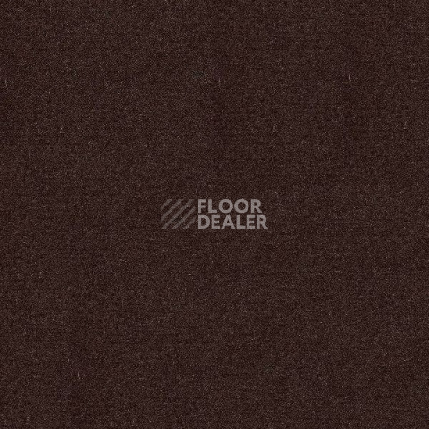 Ковролин Radici Abetone Espresso 4971 фото 1 | FLOORDEALER